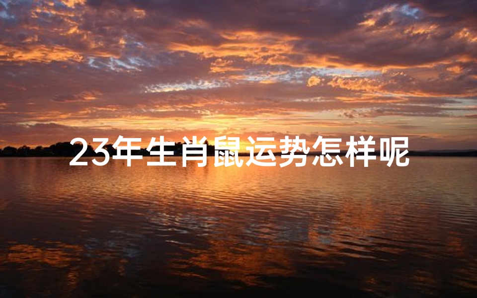 23年生肖鼠运势怎样呢、生肖鼠在2023年的运势以及注意月份