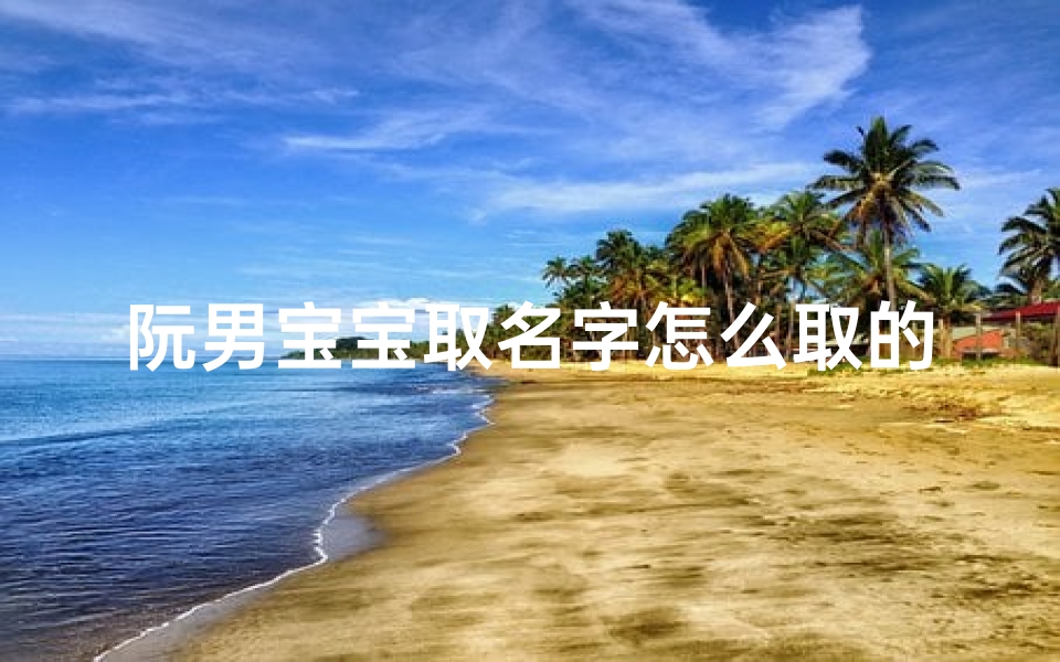 阮男宝宝取名字怎么取的