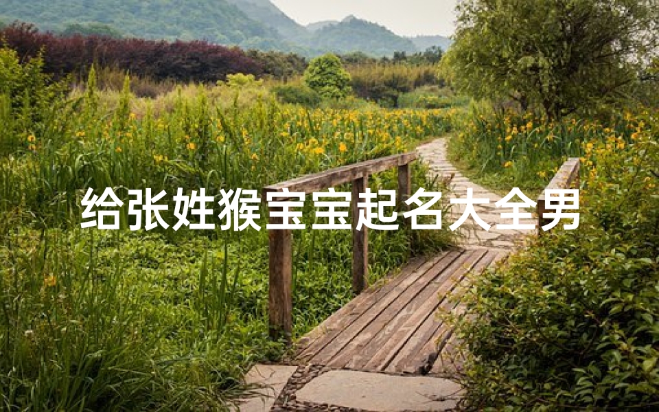 给张姓猴宝宝起名大全男孩(张姓宝宝名字男孩起什么名)