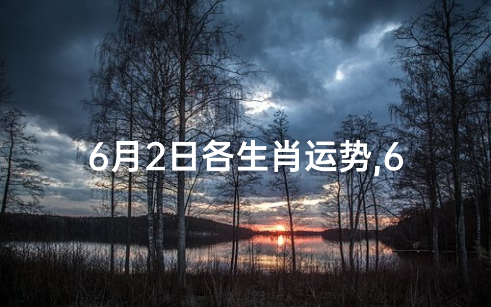 6月2日各生肖运势,6月2日生肖运势揭秘:每日运势指南揭晓