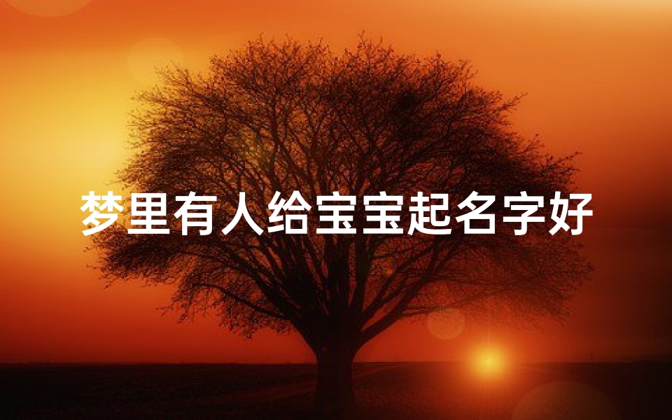 梦里有人给宝宝起名字好不好(大气又低调的名起名)