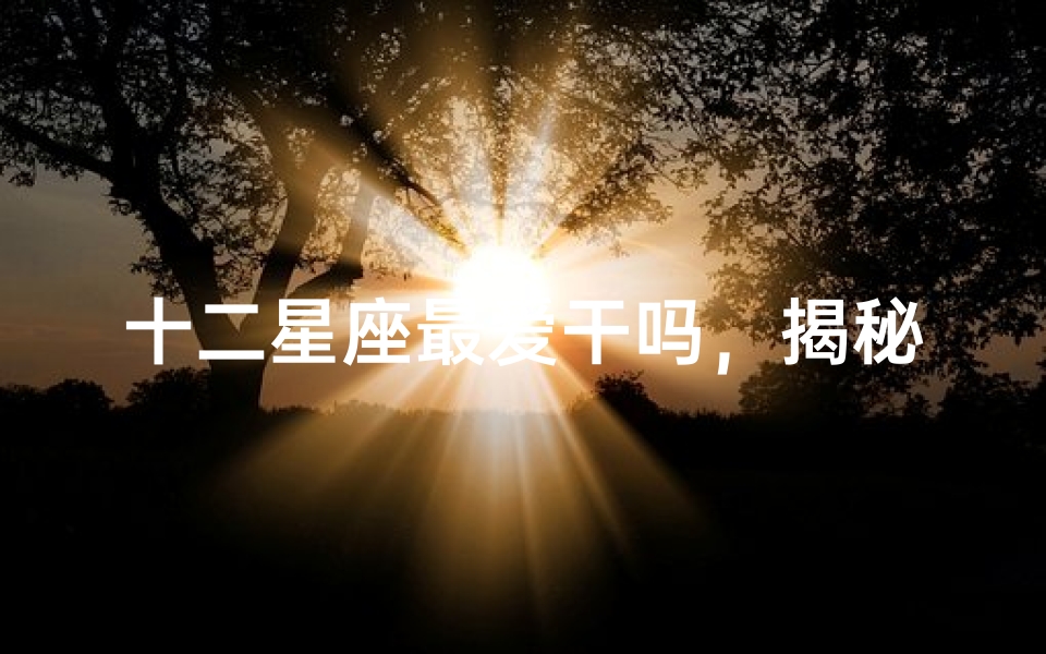 十二星座最爱干吗，揭秘星座性格与行为偏好
