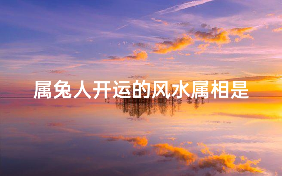 属兔人开运的风水属相是(属兔人招财转运方法)