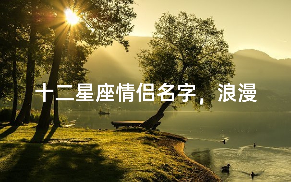 十二星座情侣名字,浪漫配对指南