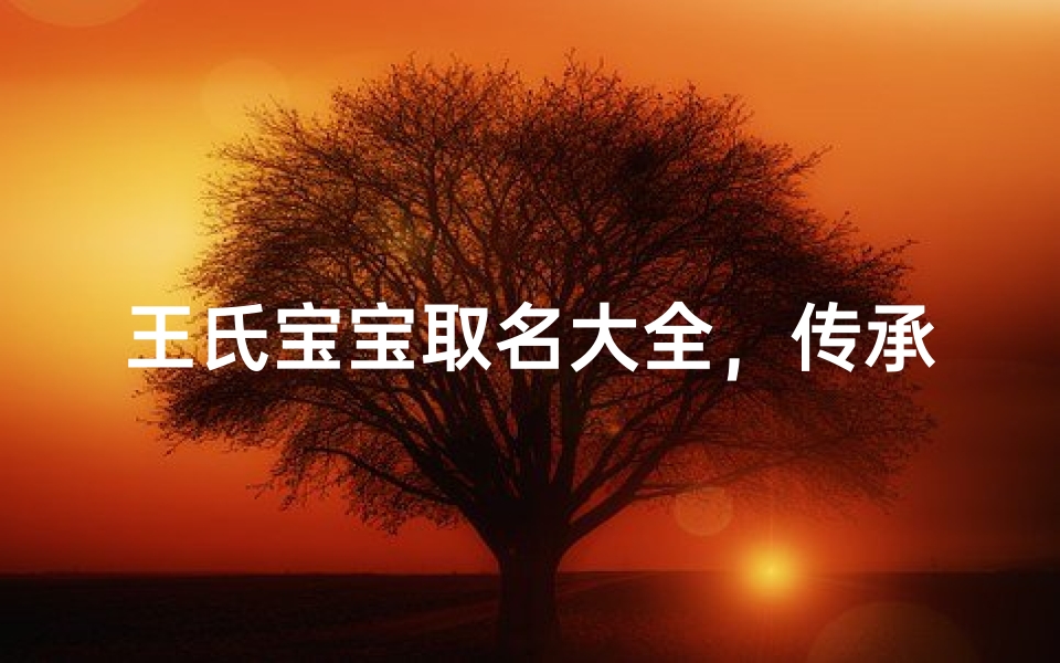 王氏宝宝取名大全,传承家族文化的命名艺术